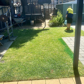 Lawn installation and care perth