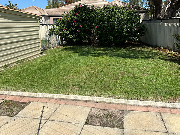 Garden cleanup before