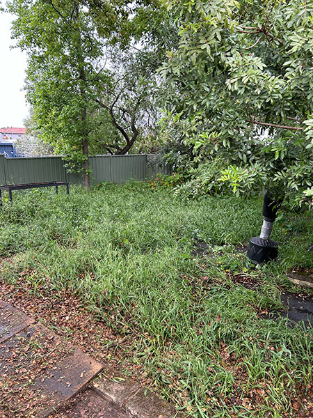 Garden cleanup before