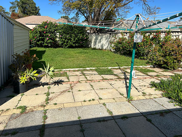 Garden cleanup before